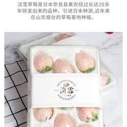 风之郁 淡雪草莓 一斤2盒/单盒15-20粒装  空运
