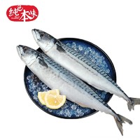 纯色本味 冷冻挪威青花鱼(鲭鱼）海鲜年货 1kg 2条装 生鲜 烧烤食材 海鲜水产