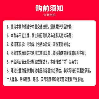 乐菱两轮电动平衡车巡逻车物业保安执勤19寸大巡逻【96型】经典白