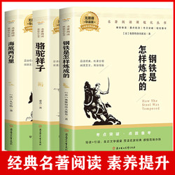 名著钢铁是怎样炼成的城南旧事经典常谈呼兰河传你的格局决定你的结局