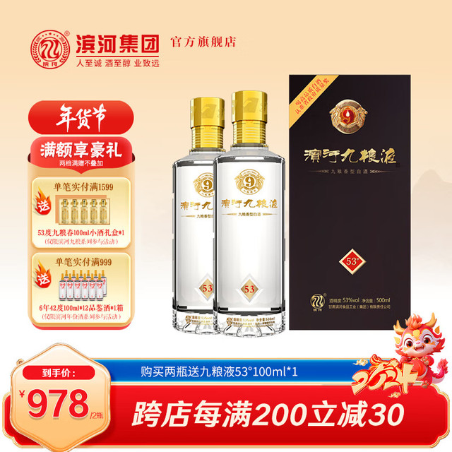 滨河九粮液 53度白酒 甘肃名酒九粮香型纯粮酒 高端商务接待白酒 53度 500mL 2瓶
