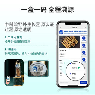 【野生可溯源】国坤堂 野生冬虫夏草 西藏那曲新干虫草滋补礼盒装长辈增强滋补泡酒年货礼盒 5根/克 虫草5克自用装