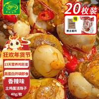 龙凤活珠 活珠子香辣40g*20枚 毛鸡蛋13天新鲜鸡胚钢化蛋开袋即食熟食