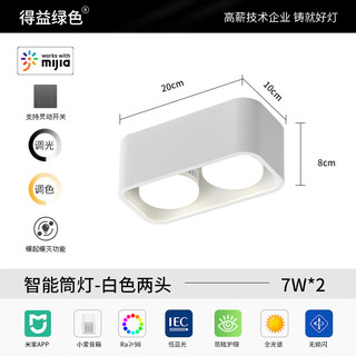 得益绿色米家智能筒灯明装主卧室无主灯斗胆灯防眩LED格栅灯 米家【2灯泛光灯】白-暖白光-14W