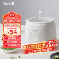 GUESMI 皆米 煮蛋器蒸蛋器蒸煮一体机 家用迷你 煮鸡蛋 可蒸鸡蛋羹酸奶 智能预约 自动断电LG-803 LG-803单主机