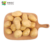 家美舒达 滕州小土豆 2.5kg