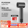 FLYCO 飞科 高速吹风机家用宿舍便携速干降噪负离子护发大风力吹风筒FH6370太空灰