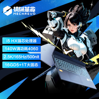 极光Pro16英寸 i5HX 游戏本笔记本电脑(i5-13450HX 16G 1T RTX4060