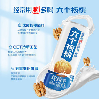 六个核桃整箱24罐精品型20罐植物饮料 礼盒240ml*12罐