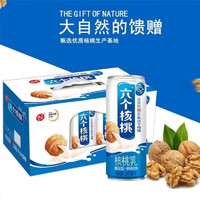 六个核桃整箱24罐精品型20罐植物饮料 礼盒240ml*12罐