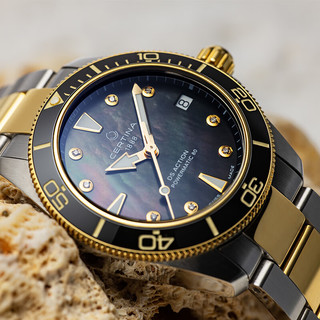 雪铁纳瑞表动能系列海龟潜水机械腕表腕表对表 间金黑盘