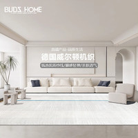 布迪思 BUDISI威尔顿机织地毯客厅轻奢加厚卧室房间沙发地垫办公室地毯可 安哥拉06 200*290CM