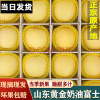 SMVP 山东烟台奶油富士苹果 精选奶油苹果5斤装 值友升级6-9个