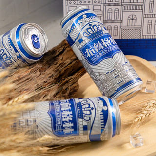 雪花啤酒布鲁格林经典比利时风味白啤（全麦芽）500ml*24听 布鲁格林 500mL 24罐 整箱装
