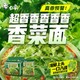  BAIXIANG 白象 香菜面泡面方便面香菜面 5袋　