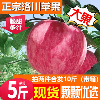 luochuanapple 洛川苹果 苹果礼盒装 5斤