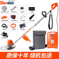 道什威尔（TOSRWELL）电动割草机充电式家用大功率锂电打草机多功能除草机收割电动农具 高配款3880W+【背包式20A锂电池