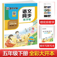 墨点字帖 2024年春 语文同步五年级下册 笔顺笔画同步练字帖视频版 赠听写默写本 人教版五年级课外阅读铅笔字帖楷书描红本生字偏旁部首拼音控笔训练字帖 （共2册) 5年级下册 语文【练字帖】