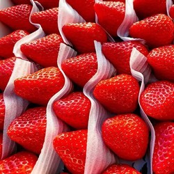 姬幻 开门福利 特价10000箱！巨无霸 红颜99草莓 2.5斤装 单果30-50g
