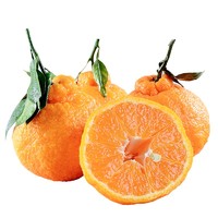 静益乐源 四川不知火丑橘 丑柑 丑八怪 柑橘 新鲜水果 5斤特大果果径80mm+