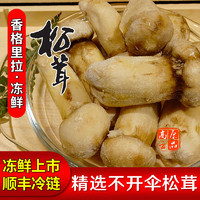 高原云品【冻鲜松茸】香格里拉出口级不开伞 冷链 5-7cm 500克 速冻松茸5-7厘米