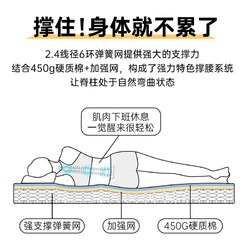 强力 家具双面舒睡护脊弹簧床垫抗菌防螨床垫单人双人床垫 梦自然