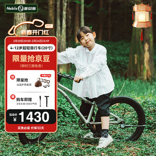 Nabiis那贝斯儿童自行车中大童6-10-12岁男女孩宝宝童车单车20寸标准款 拉丝银-20寸 标准版