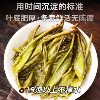 新益号 茶叶2023新茶春茶普洱茶生茶砖八八青砖古200古树茶云南临沧生普 500克 * 1盒