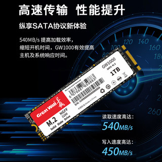 Great Wall 长城 1TB SSD固态硬盘 M.2接口SATA协议 读速550MB/S GW1000系列