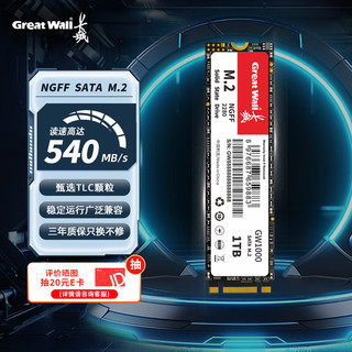 Great Wall 长城 1TB SSD固态硬盘 M.2接口SATA协议 读速550MB/S GW1000系列