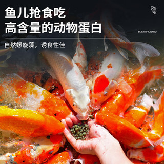 BESSN锦鲤金鱼饲料通用型增色粮渔场观赏鱼上浮淡水鱼沉底鱼粮饲料 渔场优选44%蛋白20kg育成色扬饲料3mm