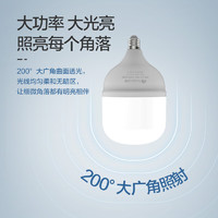 FEIDIAO 飞雕 LED灯泡柱泡节能灯 E27大螺口家用商用功率光源超亮白光球泡 25W白光|E27大螺口