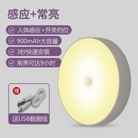 QIFAN 启梵 led人体感应灯 4.5倍电量充电黄光