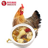 天农食品 清远老母鸡 无抗土鸡整鸡肉 山林散养300天走地鸡 2只2.4-3.2斤