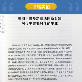 中国新石器时代至青铜时代生业研究（复旦科技考古文库）