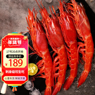 鲟食西班牙红魔虾新鲜刺身级 鲜活冷冻魔鬼虾生腌海鲜虾类 5-6只/斤【大号18-21cm】