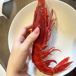 鲟食西班牙红魔虾新鲜刺身级 鲜活冷冻魔鬼虾生腌海鲜虾类 5-6只/斤【大号18-21cm】