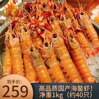 海渔链 舟山海鳌虾 净重1000克 新鲜活冻 刺身级深海大虾 海鲜水产 海鳌虾1000克（40只）仓内直发