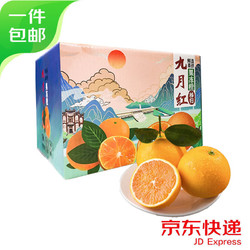 果當愛 湖北秭歸臍橙九月紅橙子果凍橙年貨禮盒小果5斤凈重水果源頭直發
