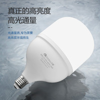 有券的上：FEIDIAO 飞雕 E27 LED灯泡 25W 白光