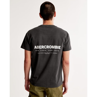 Abercrombie & Fitch 男装女装 美式复古休闲装宽松Logo圆领短袖T恤 329148-1 深灰色 XL (180/116A)