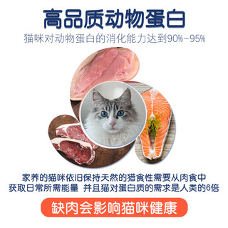 宠物先生10包全价益生菌鱼肉味猫主粮450g发腮幼猫成猫全阶段通用