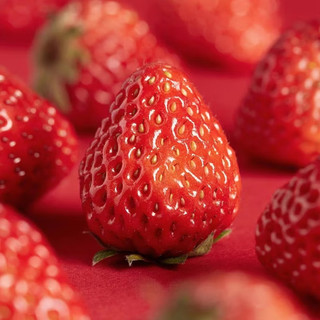 abay大凉山奶油草莓 不支持分地址下单 红颜99草莓新鲜水果 甄选奶油草莓 1盒 装 单 盒11粒 单盒300g+ 1盒15 粒 单盒300g