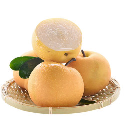 裕丰良园山东莱阳正宗羊脂秋月梨45斤79枚装中大果250g细腻甜蜜多汁