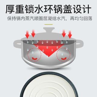 SIRONI铸铁珐琅锅炖锅汤锅家用电磁炉火锅液化灶炉灶烤箱