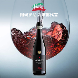 名庄荟 爱乐尼阿玛罗尼干红意大利DOCG级红酒科维纳罗蒂内拉混酿 2019年750ML