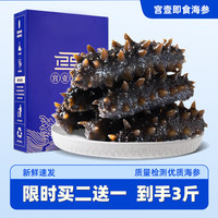 宫壹大连即食海参500g参王 固形物≥85% 6-9只 年货即食底播辽刺参