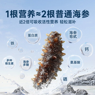 久年大连鲜食海参王500g 6-9只 固形物超80% 即食辽刺参 生鲜盒装