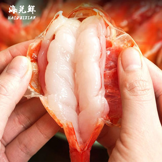 海兑鲜 阿根廷红虾大号1.5kg （35-41只）L2规格