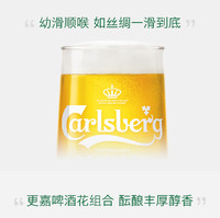 Carlsberg 嘉士伯 啤酒醇滑500ml*24罐箱大罐听装包邮官方旗舰店